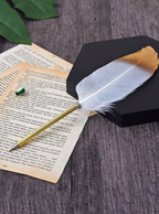 Feather & Flame Writing Quills