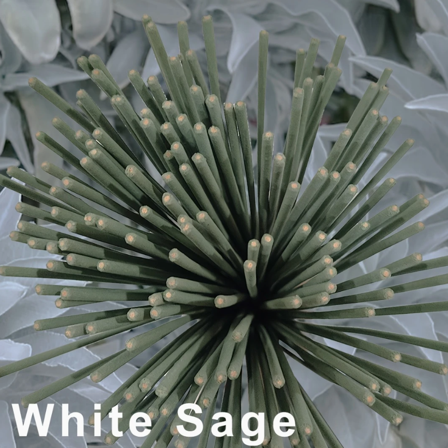 Organic White Sage Incence Sticks / 10 Sticks